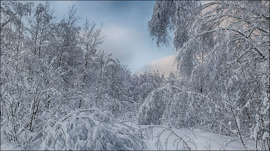 Берендеево царство