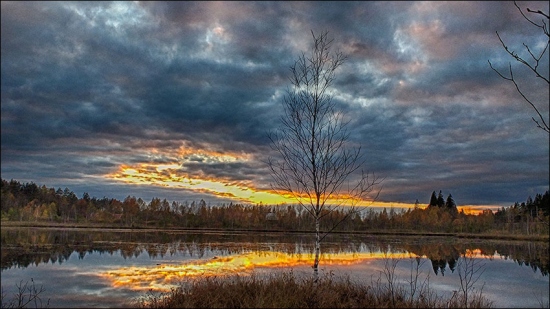 Осенний закат на болоте
